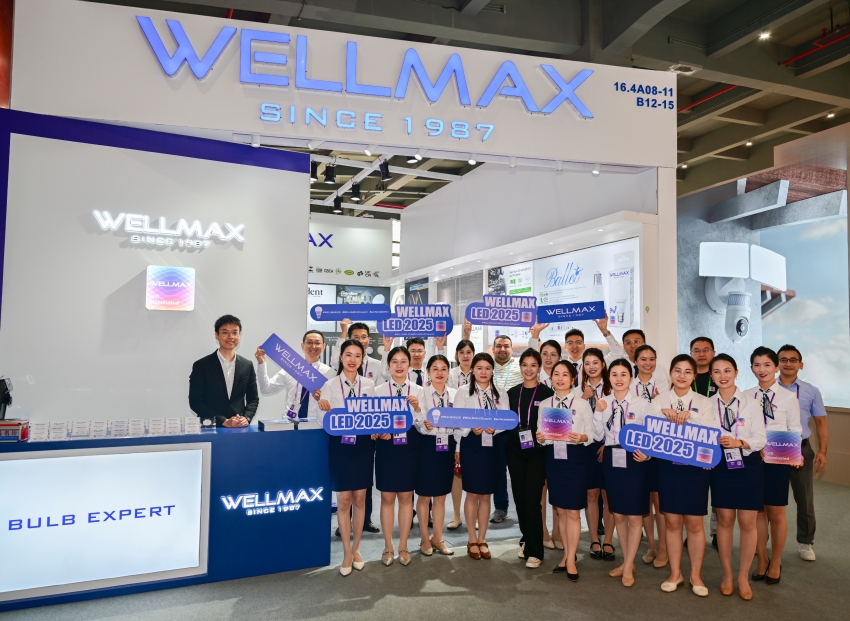 WELLMAX LED